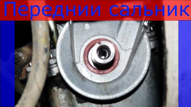 Извлечение